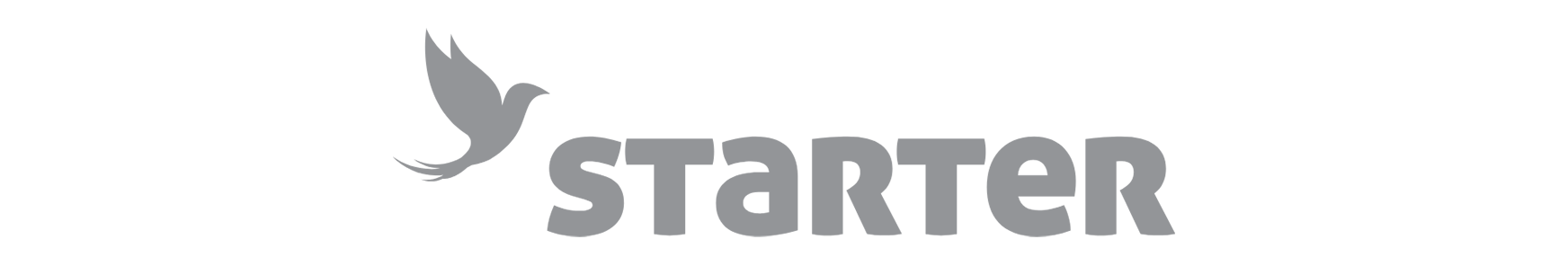 STARTER_grey2